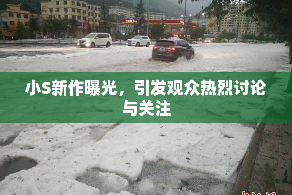 小S新作曝光，引发观众热烈讨论与关注