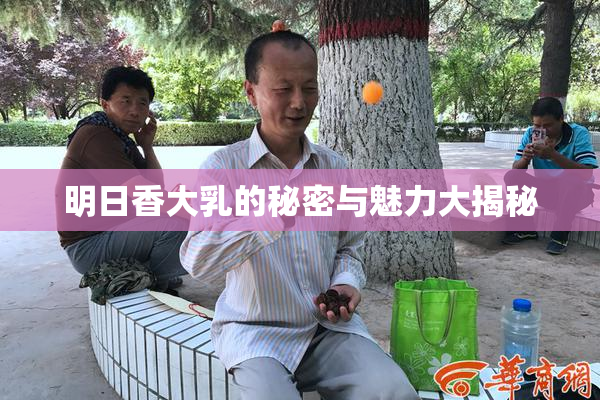 明日香大乳的秘密与魅力大揭秘