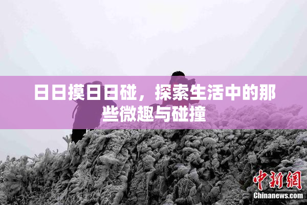 日日摸日日碰，探索生活中的那些微趣与碰撞