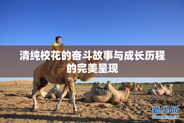 清纯校花的奋斗故事与成长历程的完美呈现