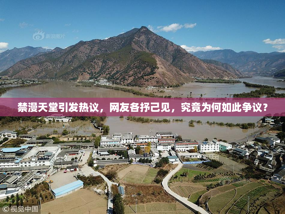 禁漫天堂引发热议，网友各抒己见，究竟为何如此争议？