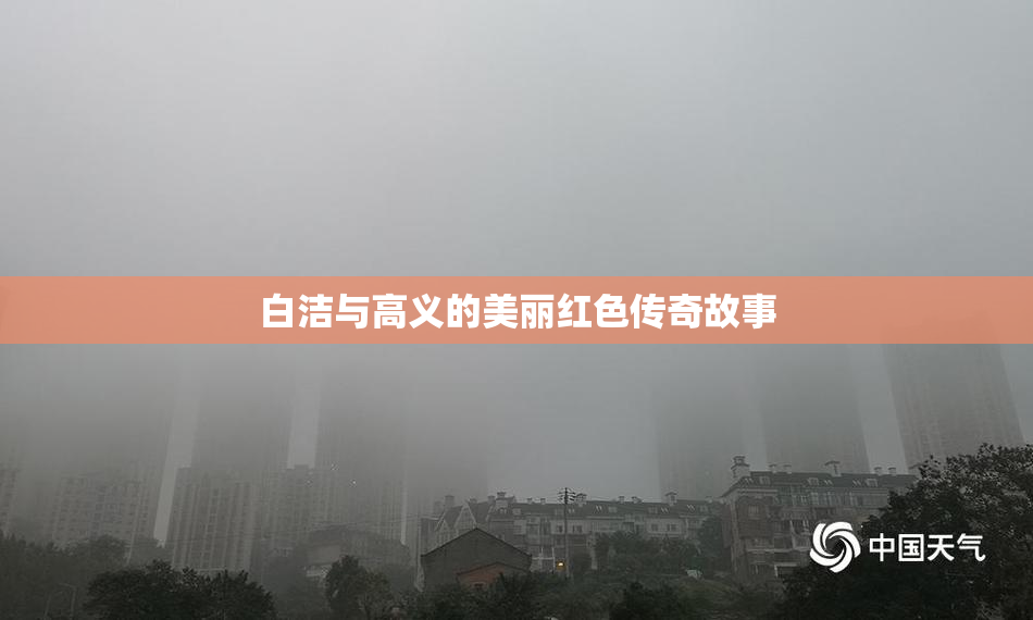 白洁与高义的美丽红色传奇故事