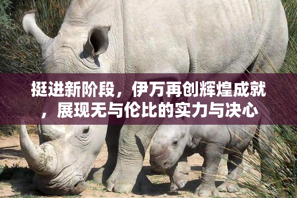 挺进新阶段，伊万再创辉煌成就，展现无与伦比的实力与决心