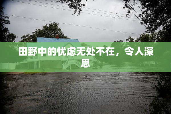田野中的忧虑无处不在，令人深思