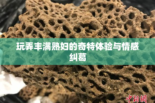 玩弄丰满熟妇的奇特体验与情感纠葛