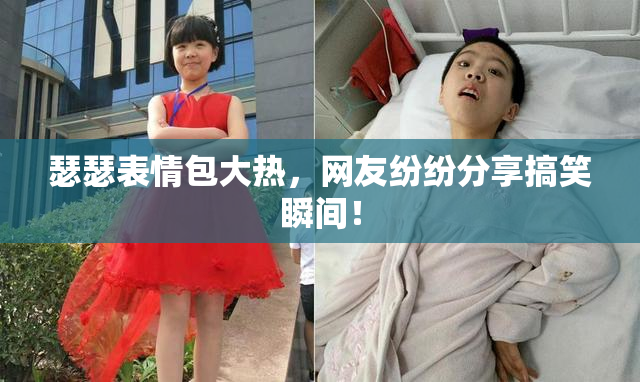 瑟瑟表情包大热，网友纷纷分享搞笑瞬间！