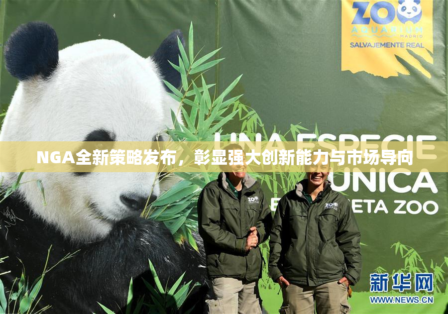 NGA全新策略发布，彰显强大创新能力与市场导向