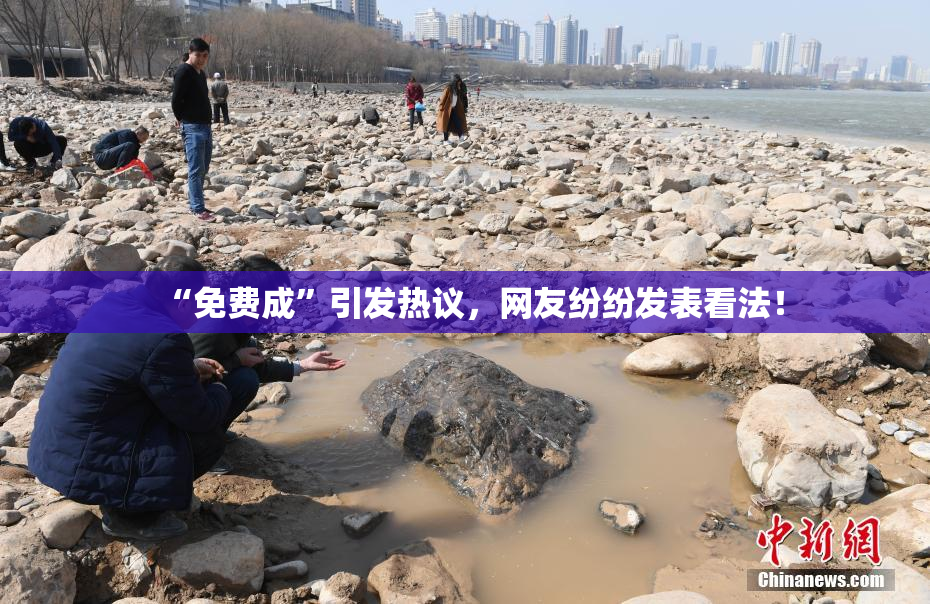 “免费成”引发热议，网友纷纷发表看法！