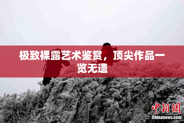 极致裸露艺术鉴赏，顶尖作品一览无遗