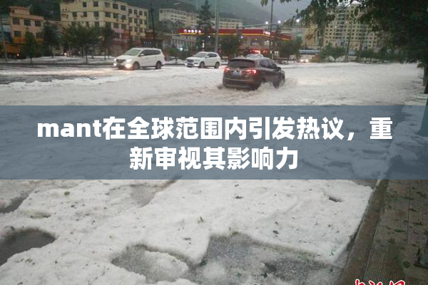 mant在全球范围内引发热议，重新审视其影响力