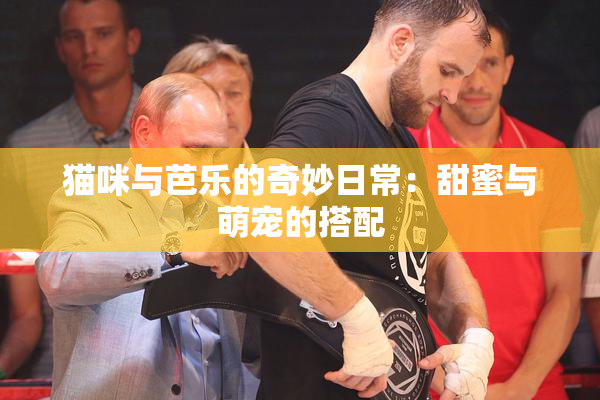 猫咪与芭乐的奇妙日常：甜蜜与萌宠的搭配