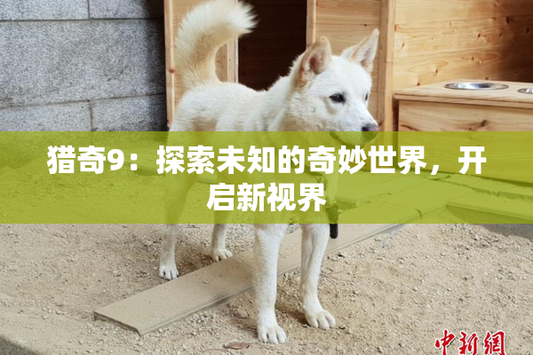 猎奇9：探索未知的奇妙世界，开启新视界