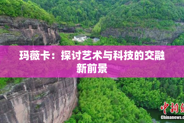 玛薇卡：探讨艺术与科技的交融新前景