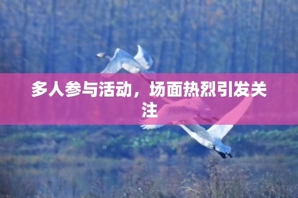 多人参与活动，场面热烈引发关注