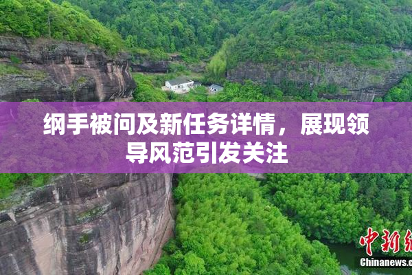 纲手被问及新任务详情，展现领导风范引发关注