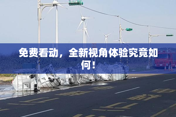 免费看动，全新视角体验究竟如何！