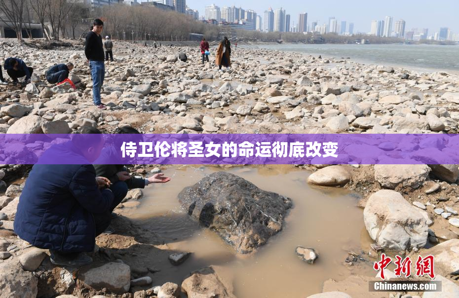 侍卫伦将圣女的命运彻底改变