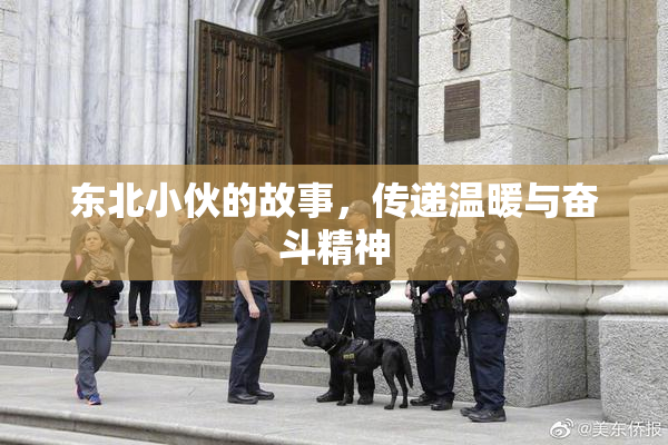 东北小伙的故事，传递温暖与奋斗精神