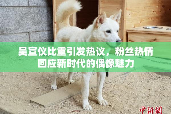 吴宣仪比重引发热议，粉丝热情回应新时代的偶像魅力