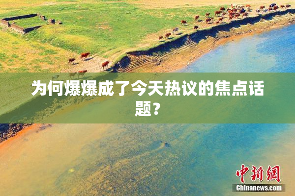 为何爆爆成了今天热议的焦点话题？