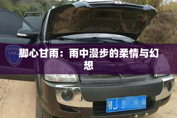 脚心甘雨：雨中漫步的柔情与幻想