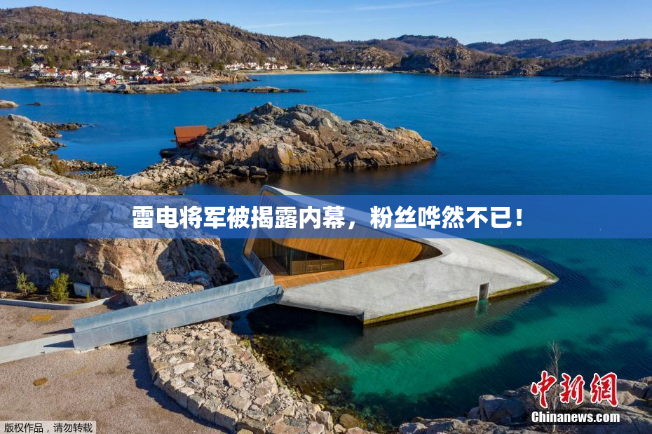 雷电将军被揭露内幕，粉丝哗然不已！