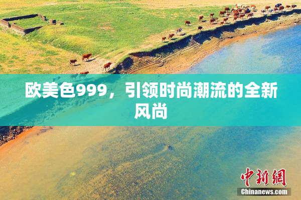 欧美色999，引领时尚潮流的全新风尚