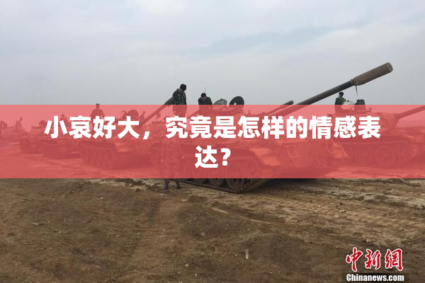 小哀好大，究竟是怎样的情感表达？