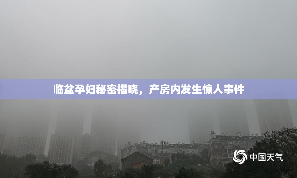 临盆孕妇秘密揭晓，产房内发生惊人事件