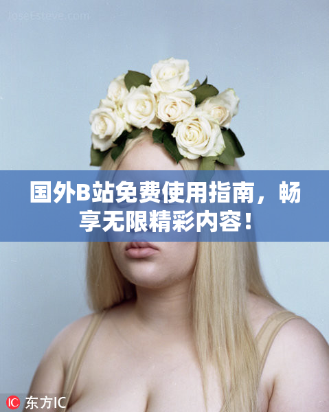 国外B站免费使用指南，畅享无限精彩内容！