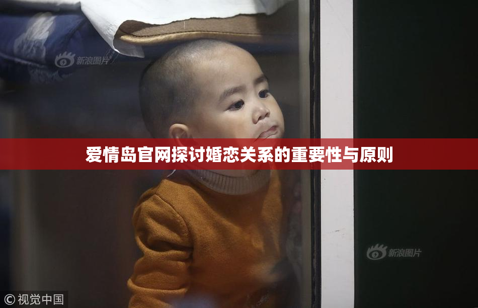 爱情岛官网探讨婚恋关系的重要性与原则