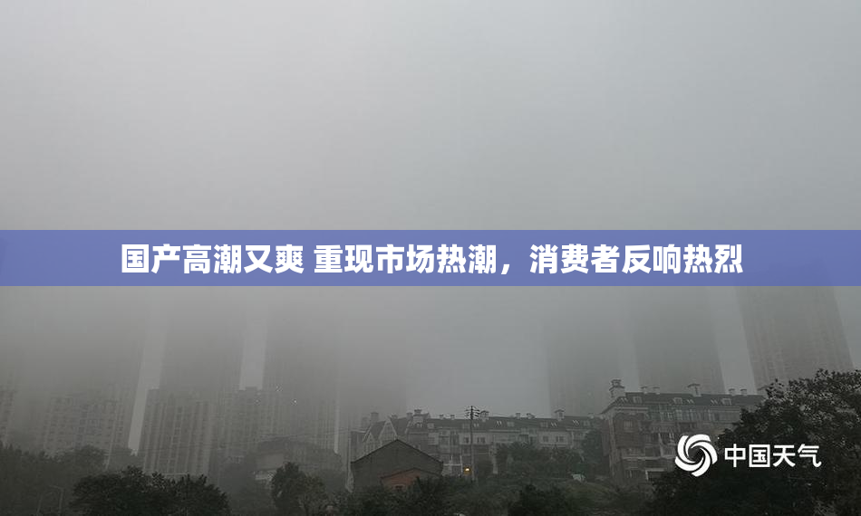 国产高潮又爽 重现市场热潮，消费者反响热烈