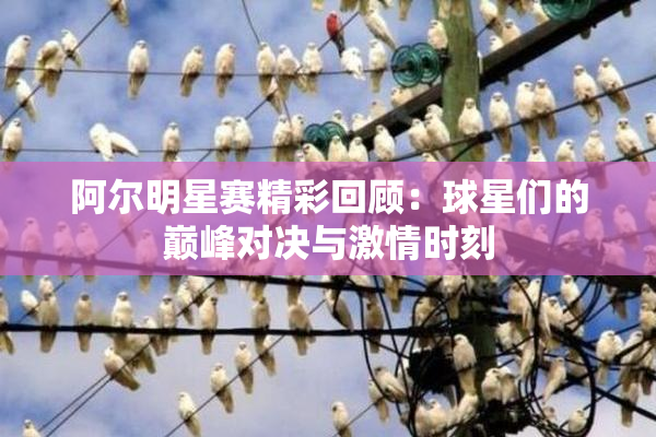 阿尔明星赛精彩回顾：球星们的巅峰对决与激情时刻