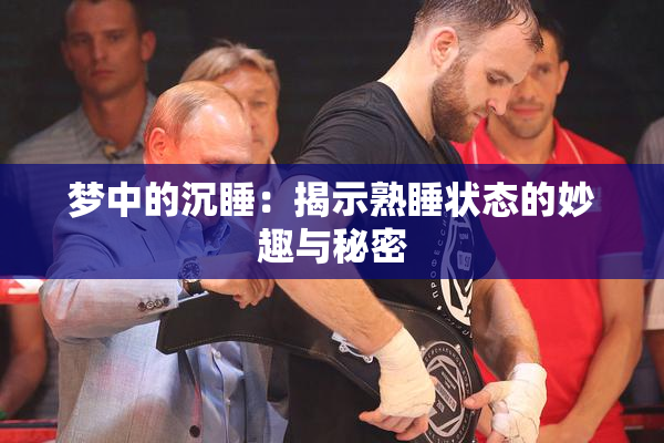 梦中的沉睡：揭示熟睡状态的妙趣与秘密