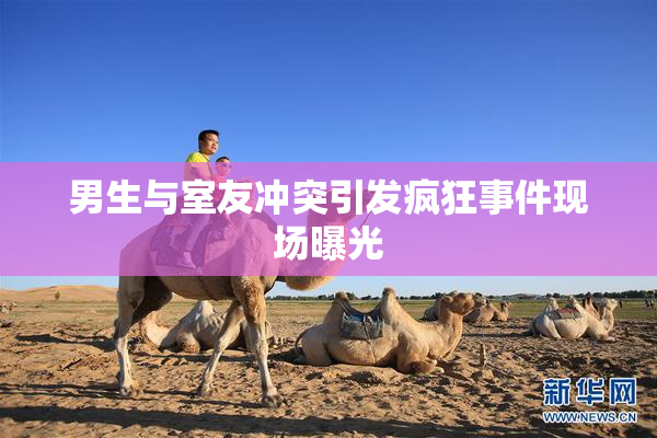 男生与室友冲突引发疯狂事件现场曝光
