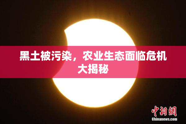 黑土被污染，农业生态面临危机大揭秘