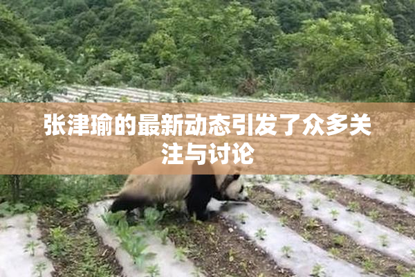 张津瑜的最新动态引发了众多关注与讨论