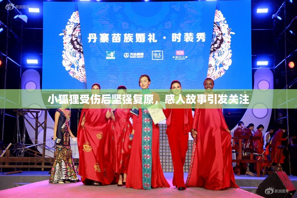 小狐狸受伤后坚强复原，感人故事引发关注