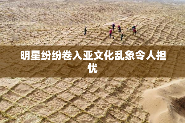 明星纷纷卷入亚文化乱象令人担忧