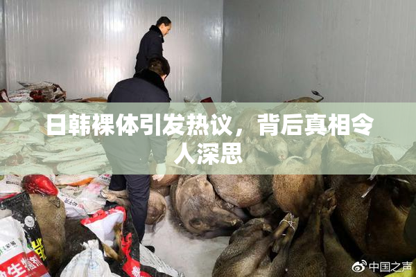 日韩裸体引发热议，背后真相令人深思