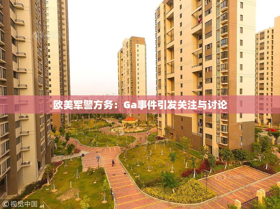 欧美军警方务：Ga事件引发关注与讨论
