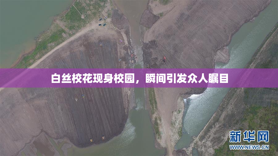 白丝校花现身校园，瞬间引发众人瞩目