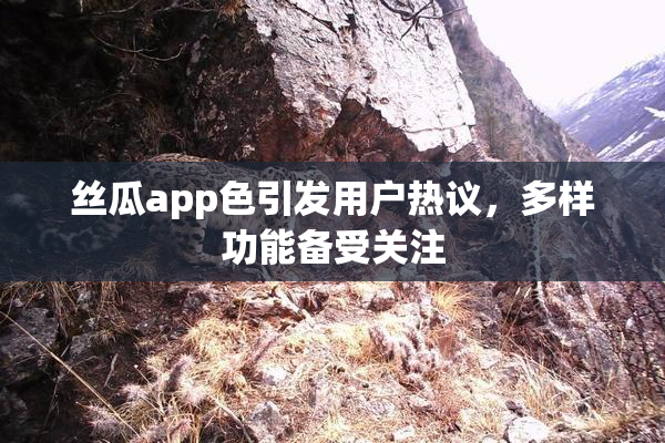 丝瓜app色引发用户热议，多样功能备受关注