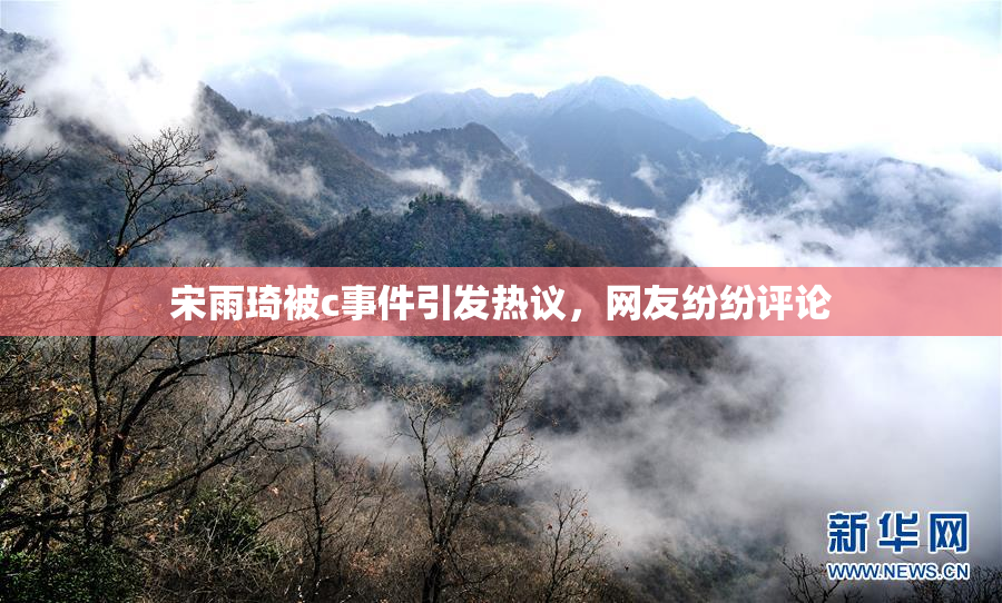 宋雨琦被c事件引发热议，网友纷纷评论