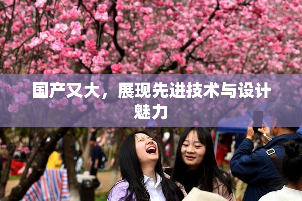 国产又大，展现先进技术与设计魅力