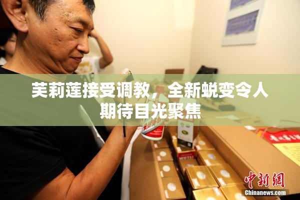芙莉莲接受调教，全新蜕变令人期待目光聚焦