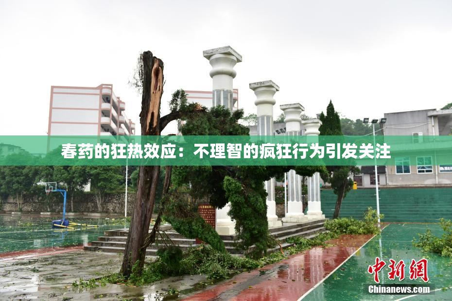 春药的狂热效应：不理智的疯狂行为引发关注