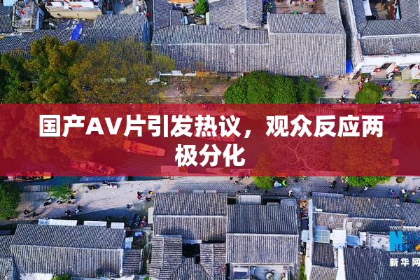 国产AV片引发热议，观众反应两极分化