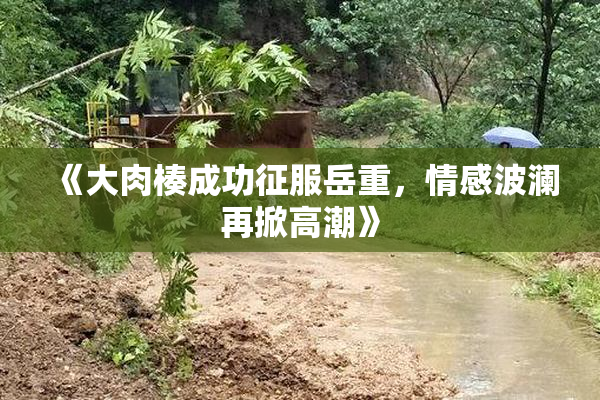 《大肉楱成功征服岳重，情感波澜再掀高潮》