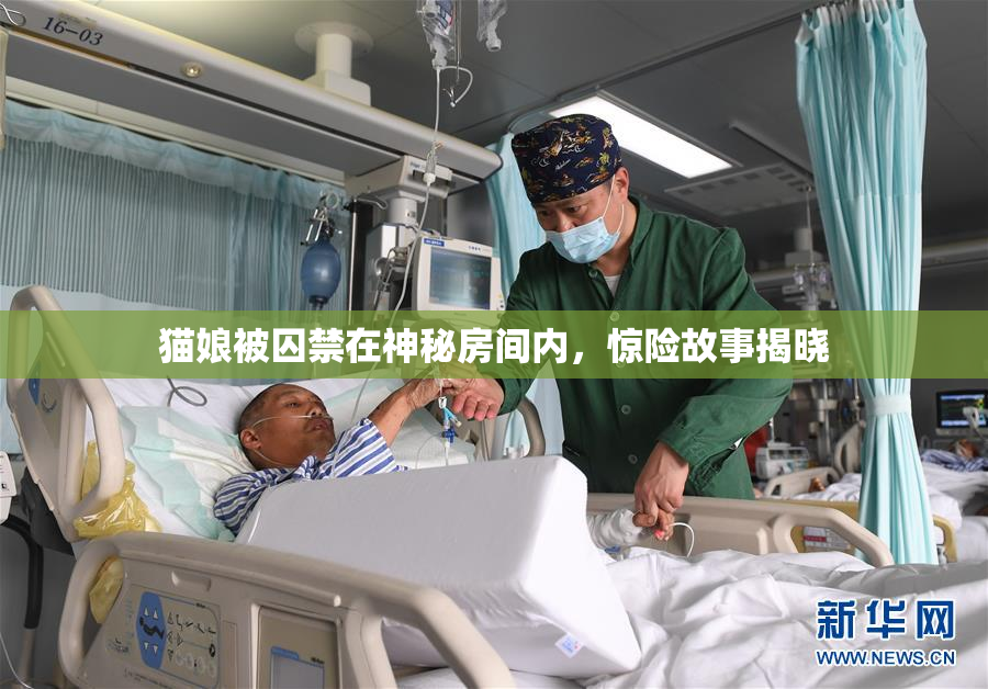 猫娘被囚禁在神秘房间内，惊险故事揭晓